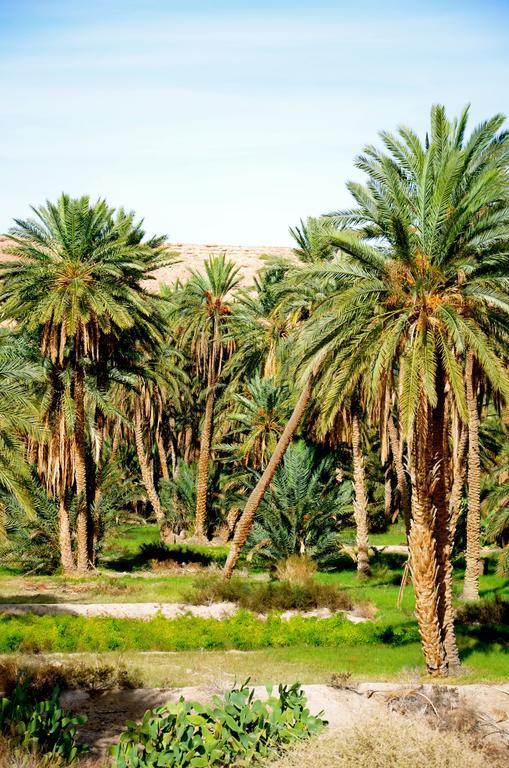 Dar Tozeur Otel Dış mekan fotoğraf